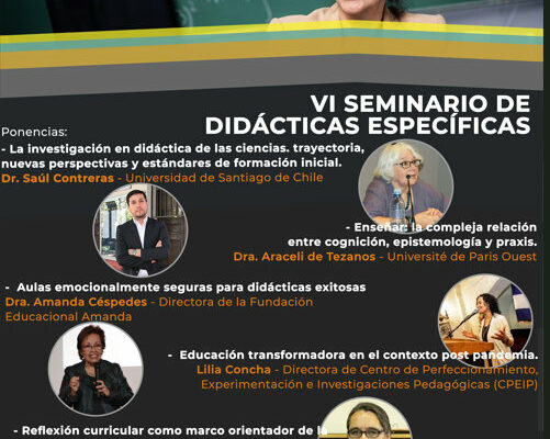 VI Seminario de Didácticas Específicas